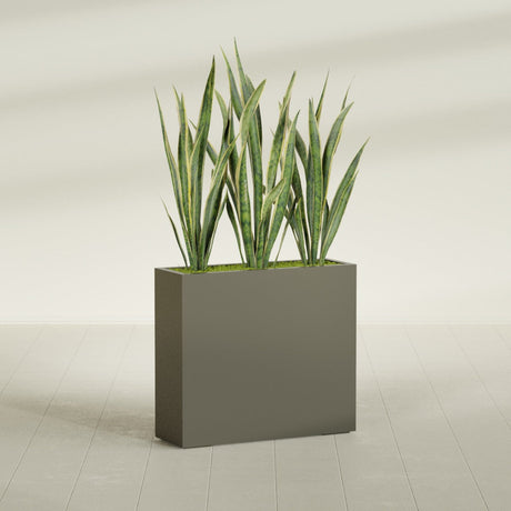 Delray Rectangular fiberglass planter in Matte Bronze, shown planted, in a sunlit interior