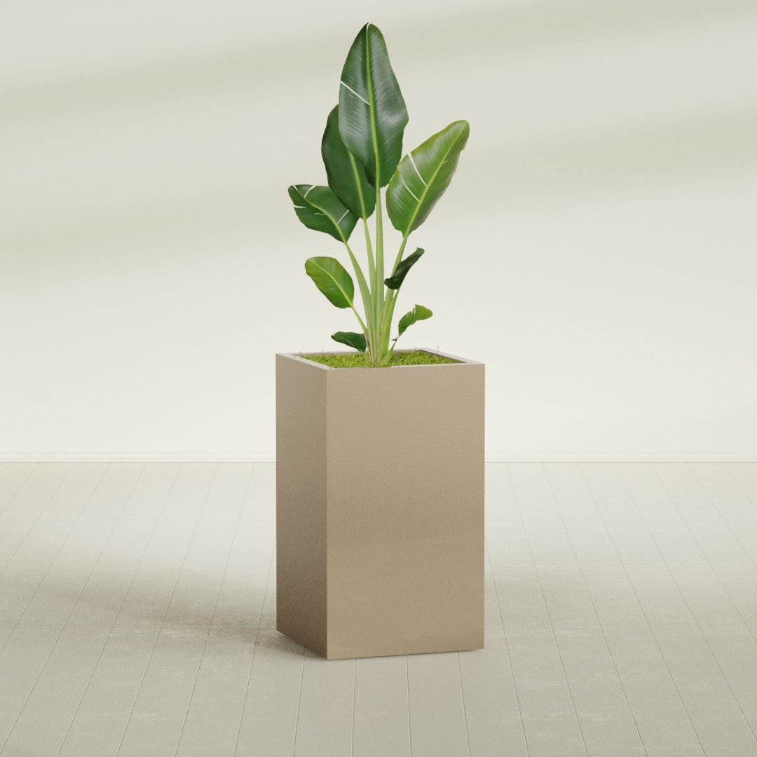 Darwin Corner fiberglass planter in Gloss Metallic Gold, shown planted, in a sunlit interior