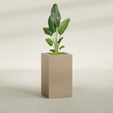 Darwin Corner fiberglass planter in Gloss Metallic Gold, shown planted, in a sunlit interior