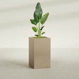 Darwin Corner fiberglass planter in Gloss Metallic Gold, shown planted, in a sunlit interior