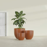 Alzira Bowl fiberglass planter in Matte Terra Cotta, size range, in a sunlit interior