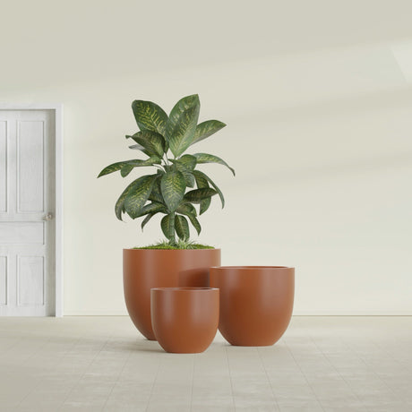 Alzira Bowl fiberglass planter in Matte Terra Cotta, size range, in a sunlit interior