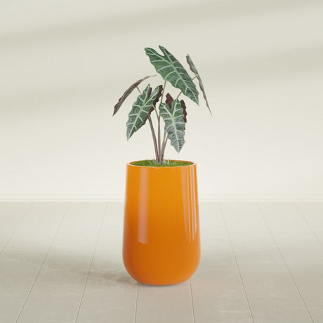 Hayden Urn fiberglass planter in Gloss Tangerine, shown planted, in a sunlit interior
