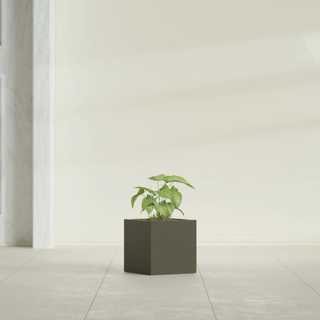 Monaco Cube fiberglass planter in Matte Bronze, shown planted, in a sunlit interior