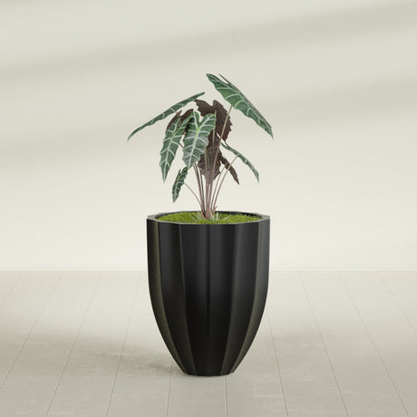 Alicante Fluted fiberglass planter in Matte Black, shown planted, in a sunlit interior
