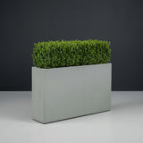Delray Rectangular fiberglass planter in Matte Cement Grey, planted with continuous mound of trimmed boxwood hedging, studio