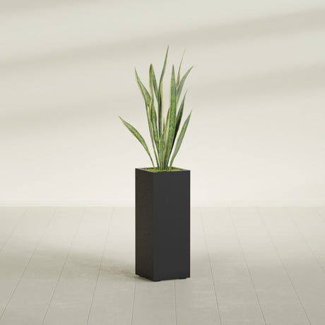 Delray corner fiberglass planter, in a dark finish, planted with an agave