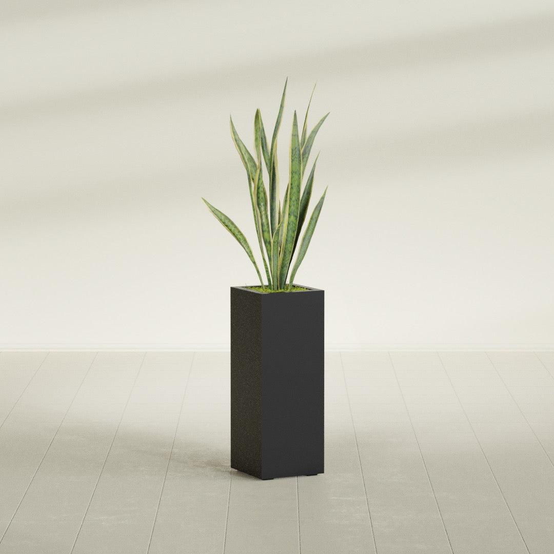 Delray corner fiberglass planter, in a dark finish, planted with an agave