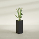 Delray corner fiberglass planter, in a dark finish, planted with an agave