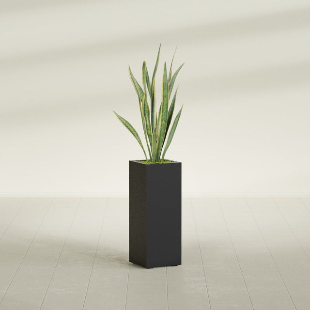 Delray corner fiberglass planter, in a dark finish, planted with an agave