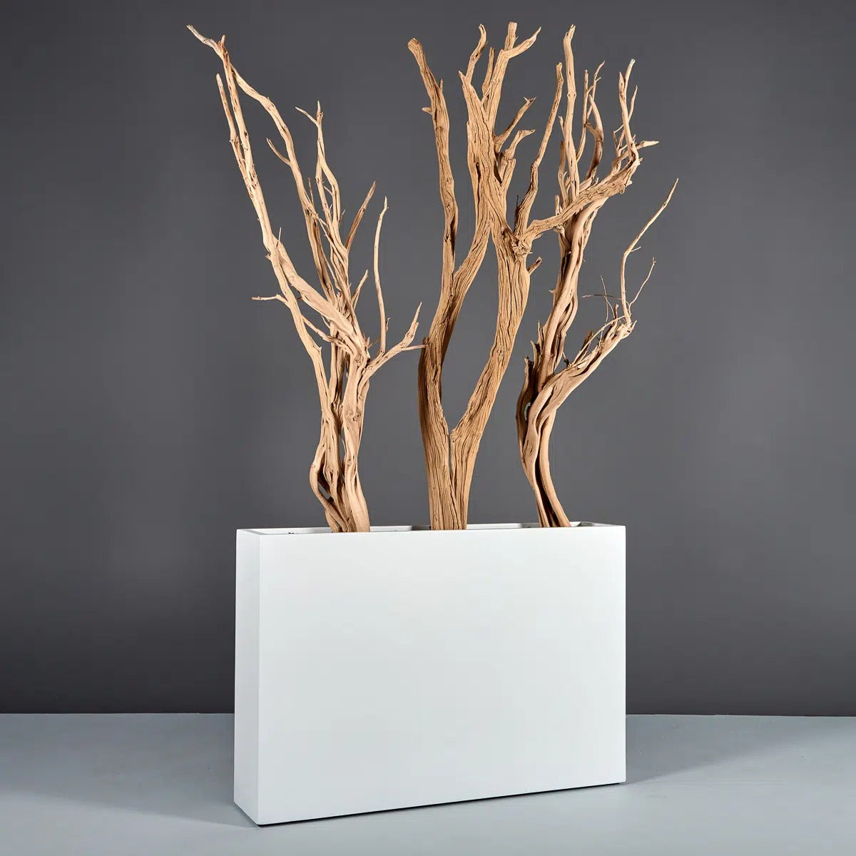 Delray Rectangular Planter, in real life