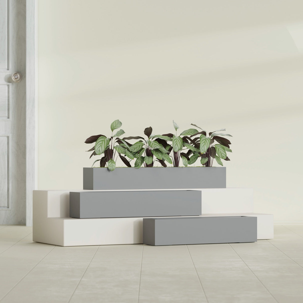 Salon Box fiberglass planter in Matte Gunmetal, size range, in a sunlit interior