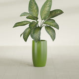 Lisbon Tall Round fiberglass planter in Satin Green, shown planted, in a sunlit interior