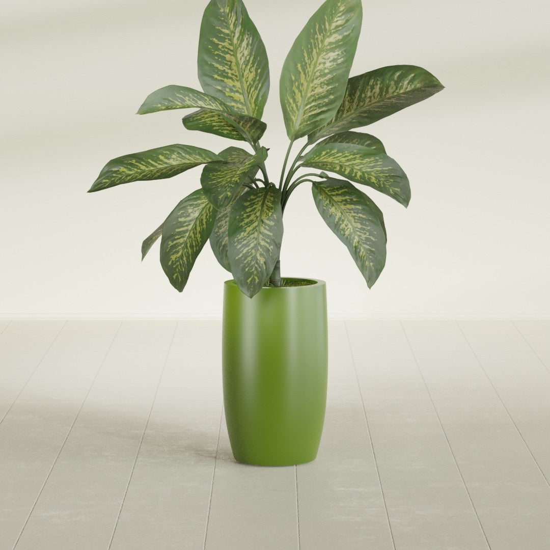 Lisbon Tall Round fiberglass planter in Satin Green, shown planted, in a sunlit interior