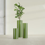 Corry Cylinder fiberglass planter in Satin Green, size range, in a sunlit interior