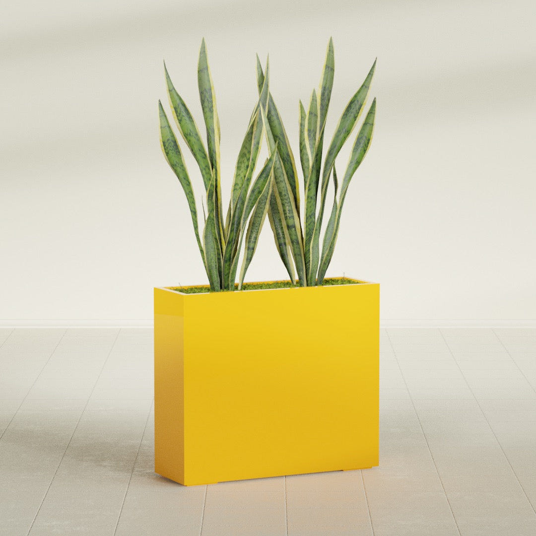 Perth Rectangular fiberglass planter in Gloss Saffron, shown planted, in a sunlit interior