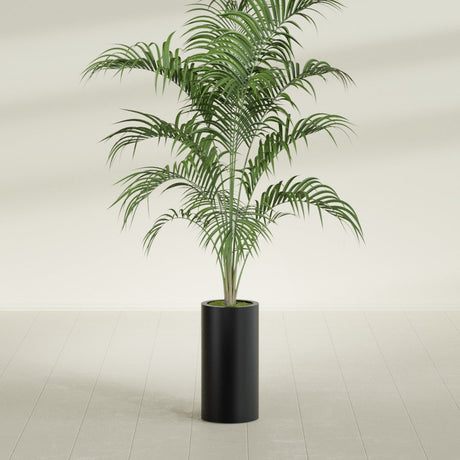 Corry Cylinder fiberglass planter in Matte Black, shown planted, in a sunlit interior