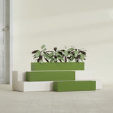 Salon Box fiberglass planter in Satin Green, size range, in a sunlit interior