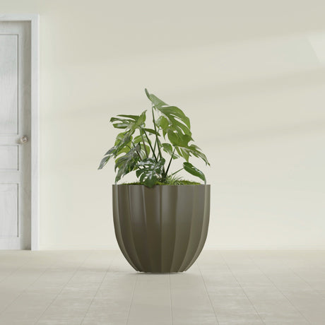Santa Barbara Fluted Round fiberglass planter in Matte Bronze, shown planted, in a sunlit interior