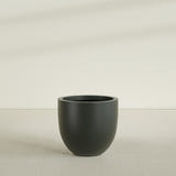 Alzira Bowl Planter in Matte Charcoal, 30"D × 28"H, shown empty