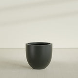 Alzira Bowl Planter in Matte Charcoal, 30"D × 28"H, shown empty