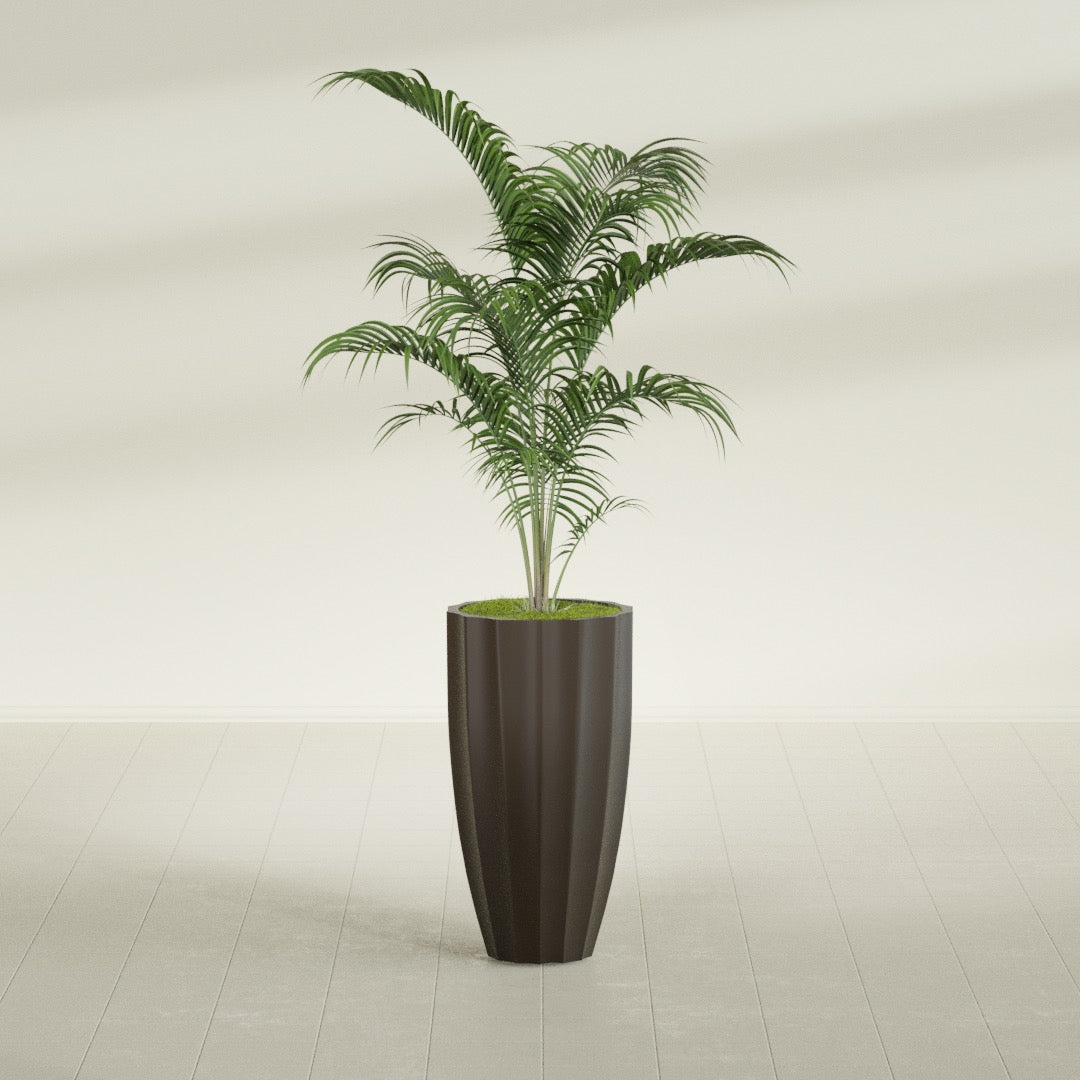 San Jose Tall Fluted fiberglass planter in Matte Dark Brown, shown planted, in a sunlit interior
