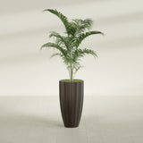 San Jose Tall Fluted fiberglass planter in Matte Dark Brown, shown planted, in a sunlit interior