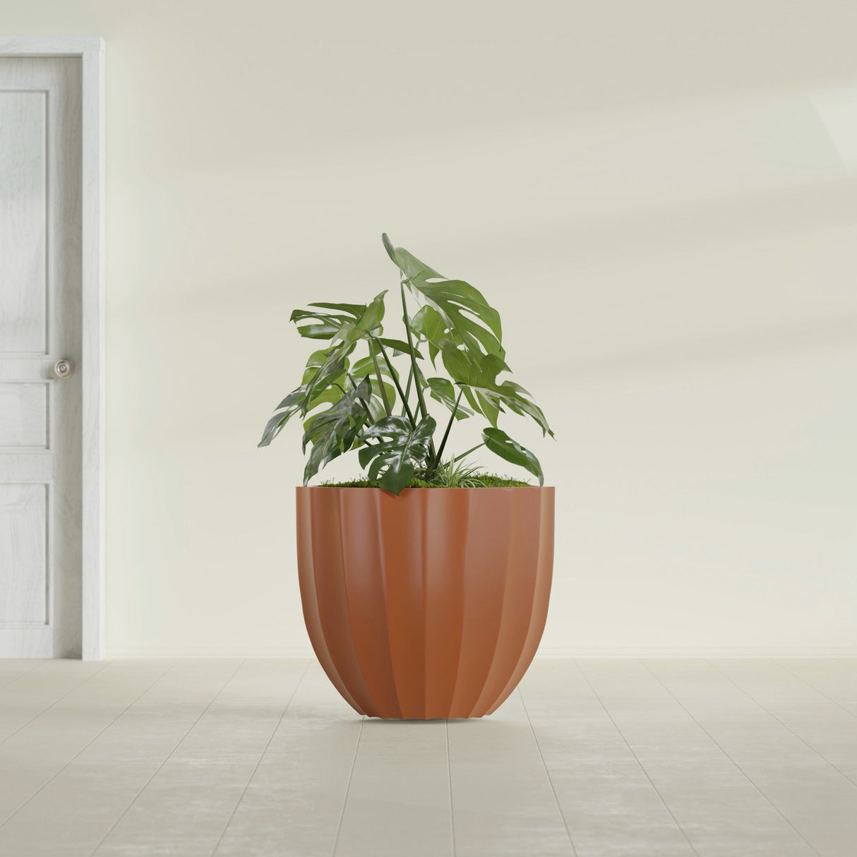 Santa Barbara Fluted Round fiberglass planter in Matte Terra Cotta, shown planted, in a sunlit interior