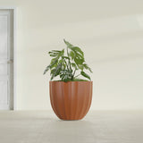 Santa Barbara Fluted Round fiberglass planter in Matte Terra Cotta, shown planted, in a sunlit interior