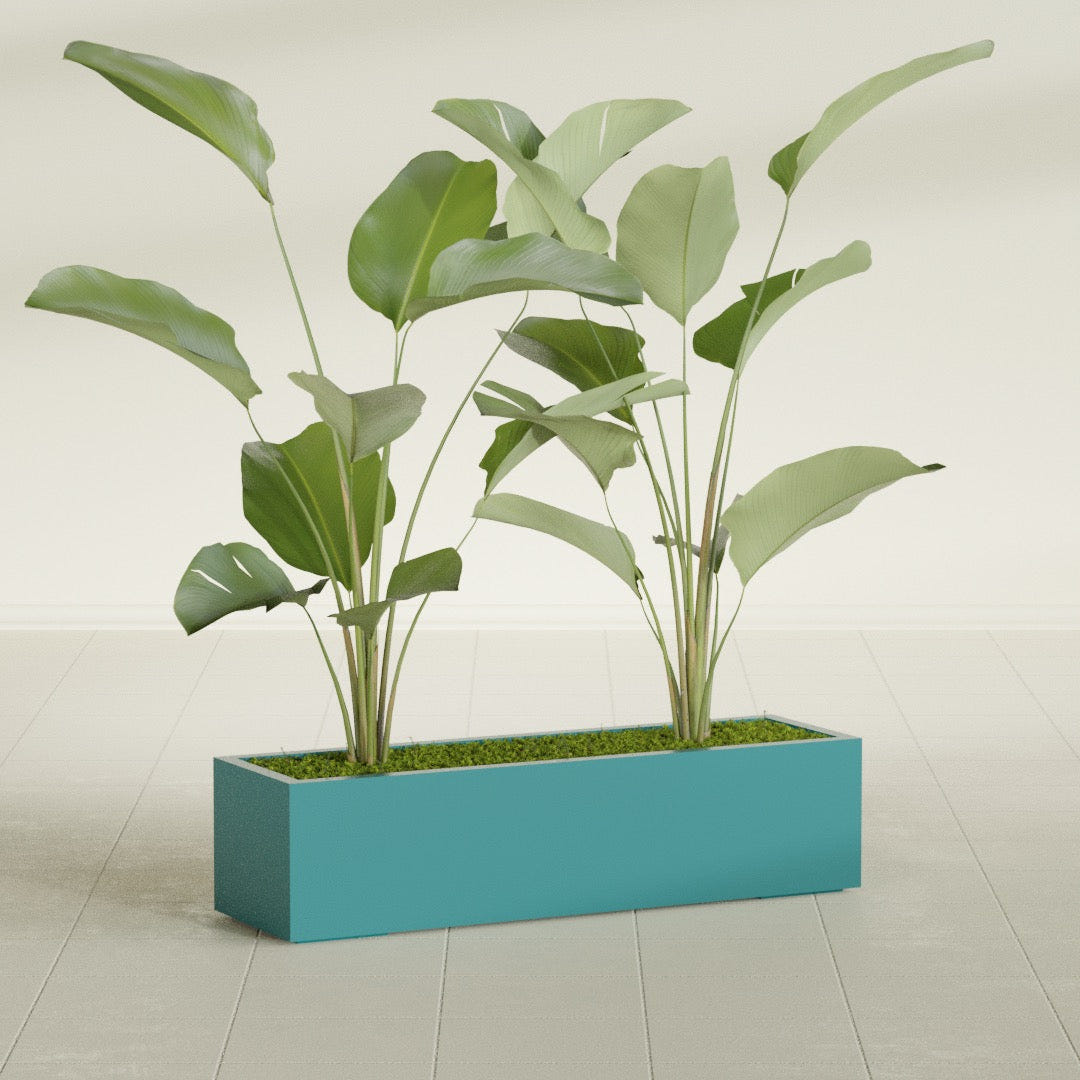 Cuba Low Rectangular fiberglass planter in Satin Seafoam Green, shown planted, in a sunlit interior