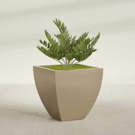 Lima Tapered Square fiberglass planter in Gloss Metallic Gold, planted, in a sunlit interior