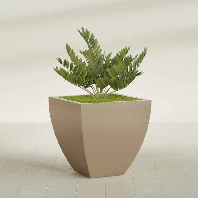 Lima Tapered Square fiberglass planter in Gloss Metallic Gold, planted, in a sunlit interior