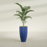 San Jose Tall Fluted fiberglass planter in Matte Cobalt Blue, shown planted, in a sunlit interior