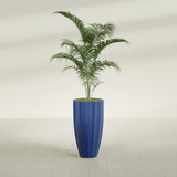 San Jose Tall Fluted fiberglass planter in Matte Cobalt Blue, shown planted, in a sunlit interior