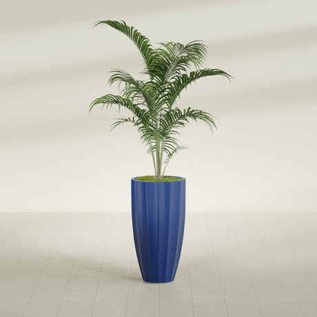 San Jose Tall Fluted fiberglass planter in Matte Cobalt Blue, shown planted, in a sunlit interior