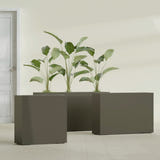 Milano Narrow Rectangular fiberglass planter in Matte Bronze, shown planted, in a sunlit interior