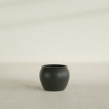 Shanghai Fishbowl Planter in Matte Charcoal, 16", shown empty