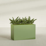 Brisbane Corner fiberglass planter in Satin Green, shown planted, in a sunlit interior