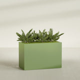 Brisbane Rectangular fiberglass planter in Satin Green, shown planted, in a sunlit interior