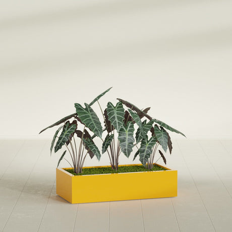Antwerp Corner fiberglass planter in Gloss Saffron, shown planted, in a sunlit interior