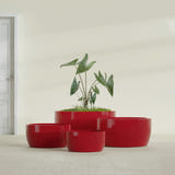 Casablanca Bowl fiberglass planter in Gloss Red, size range, in a sunlit interior