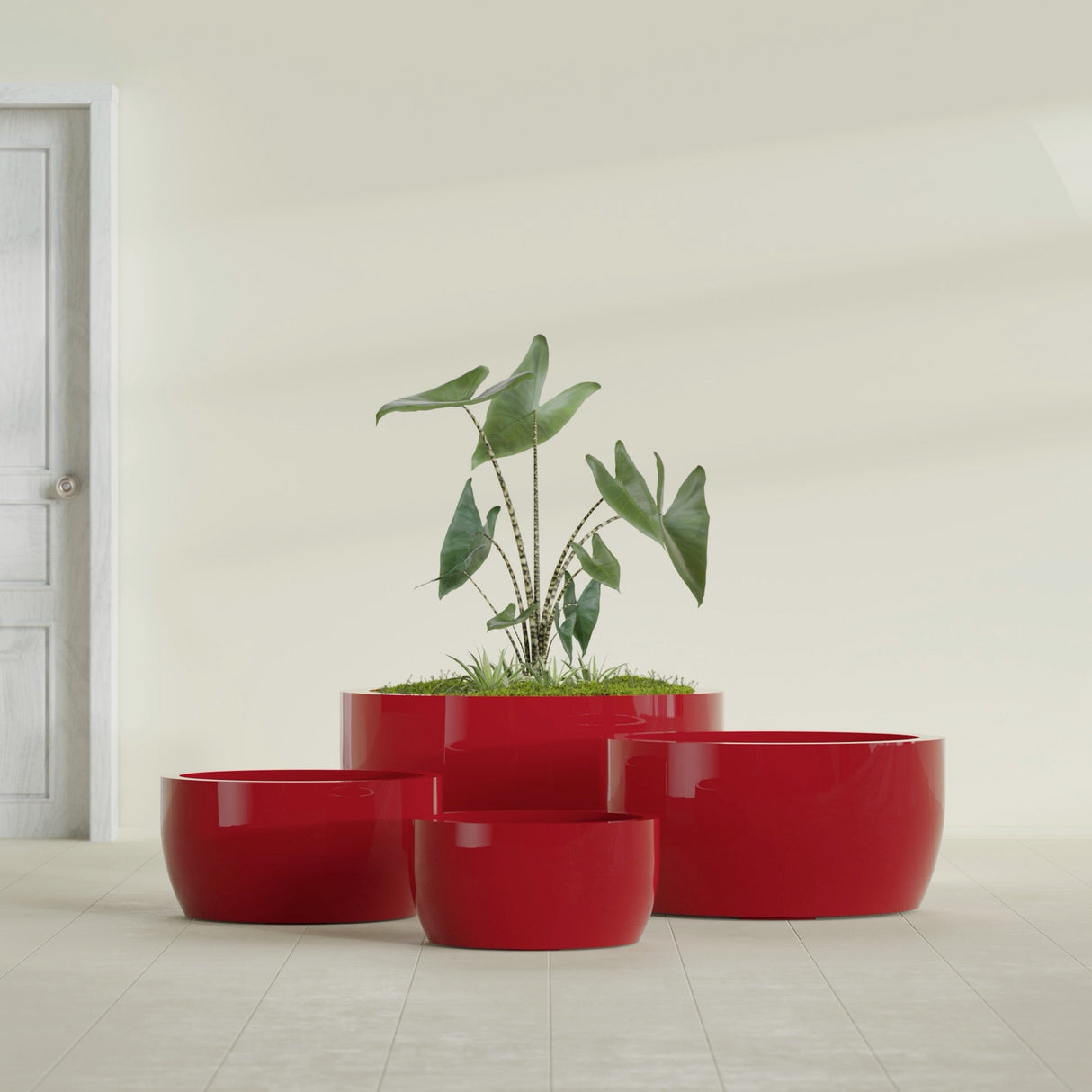 Casablanca Bowl fiberglass planter in Gloss Red, size range, in a sunlit interior