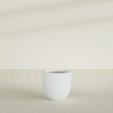 Alzira Bowl Planter in Gloss Bright White, 23"D × 22"H, shown empty