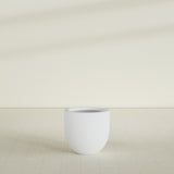 Alzira Bowl Planter in Gloss Bright White, 23"D × 22"H, shown empty