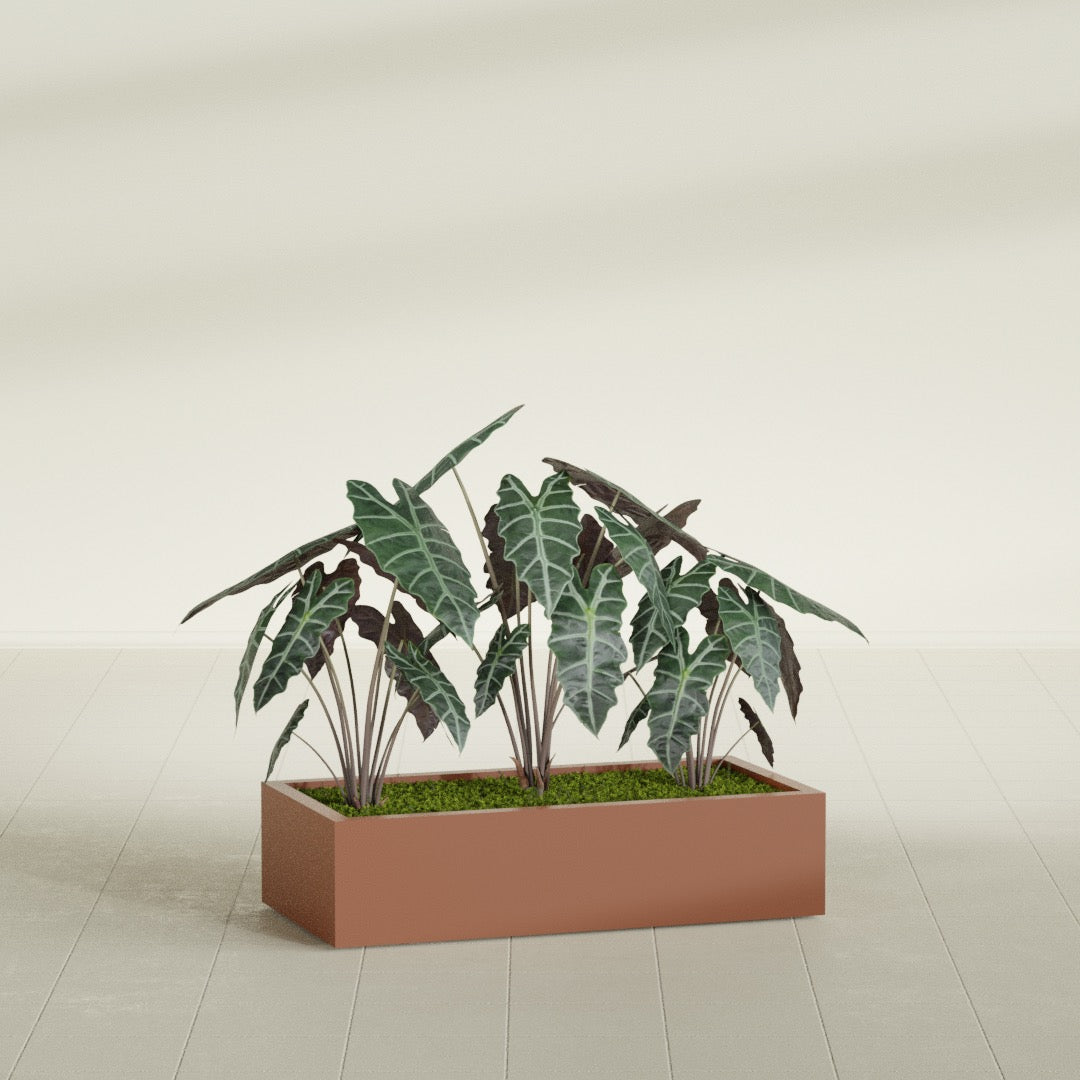 Antwerp Rectangular fiberglass planter in Matte Terra Cotta, shown planted, in a sunlit interior