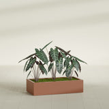 Antwerp Rectangular fiberglass planter in Matte Terra Cotta, shown planted, in a sunlit interior