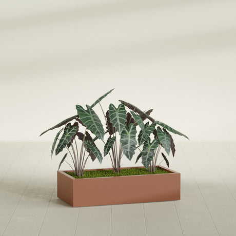Antwerp Rectangular fiberglass planter in Matte Terra Cotta, shown planted, in a sunlit interior