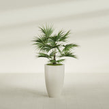 Brannan Tapered Round fiberglass planter in Satin Beige, shown planted, in a sunlit interior