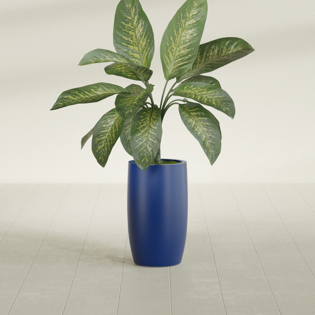 Lisbon Tall Round fiberglass planter in Matte Cobalt Blue, shown planted, in a sunlit interior