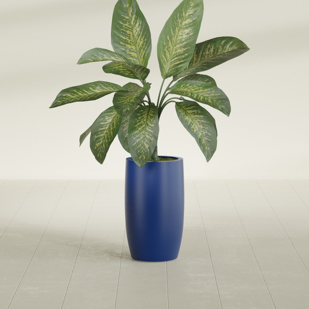 Lisbon Tall Round fiberglass planter in Matte Cobalt Blue, shown planted, in a sunlit interior